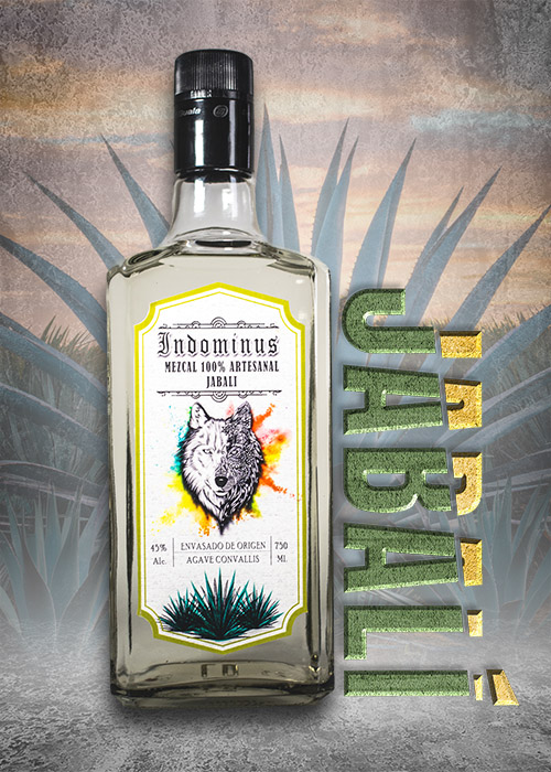 mezcal jabali